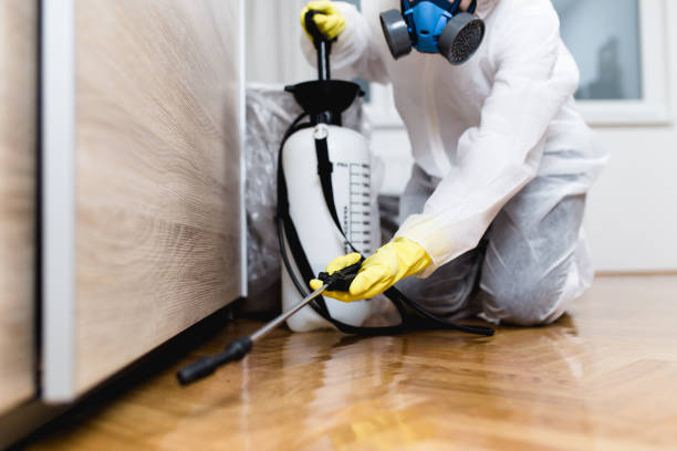 Best Pest Removal Services  in Clifton, TX