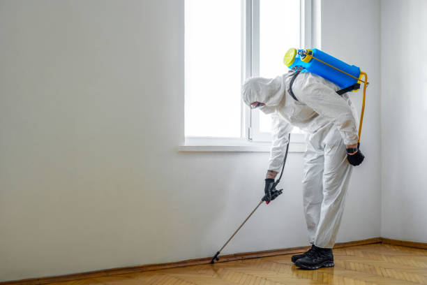 Best Cockroach Control Services  in Clifton, TX