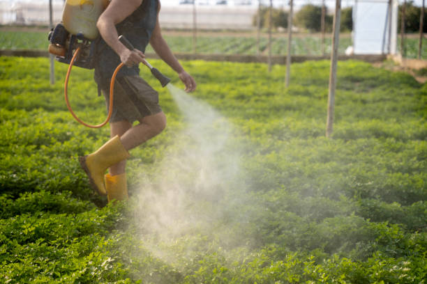 Best Residential Pest Control  in Clifton, TX
