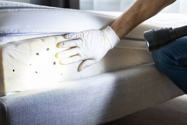 Best Wildlife Control Services  in Clifton, TX