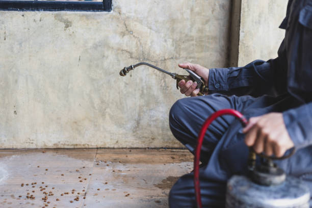 Best Mosquito Control Services  in Clifton, TX